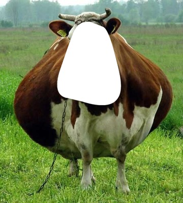 vaca louca Photomontage