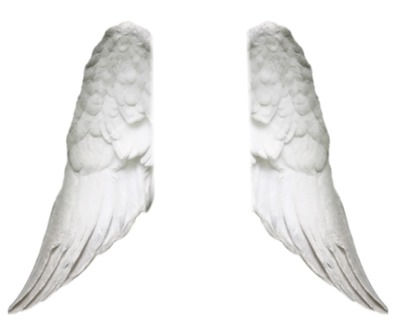 ailes d'ange Fotomontage