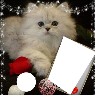 chat Photo frame effect