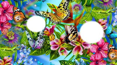 garden butterfly Photomontage