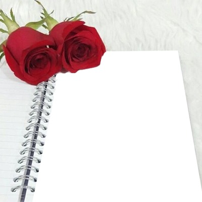 hoja de cuaderno y rosas rojas. Fotomontagem