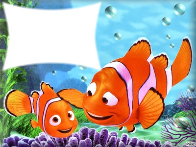 Nemo Photo frame effect