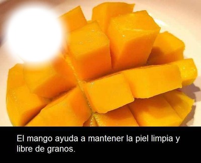 El mango フォトモンタージュ