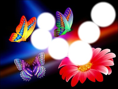 Papillons et fleur フォトモンタージュ
