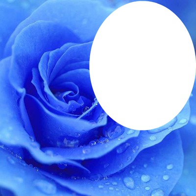 <3 Blue rose of Love <3 Fotomontaggio