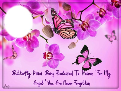 butterfly kisses Photo frame effect