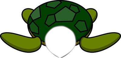 turtle Fotomontāža