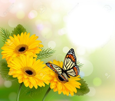 butterfly sunflowers yellow fran Valokuvamontaasi