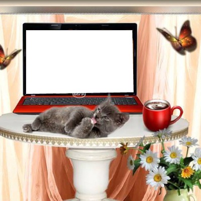 ordinateur avec chat et tasse de café 1 photo Фотомонтаж