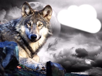 le loup  dans le nuage Photomontage