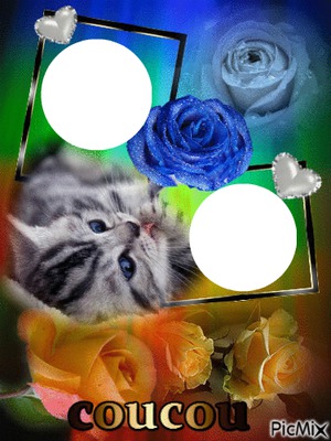 cadre des fleurs chat フォトモンタージュ