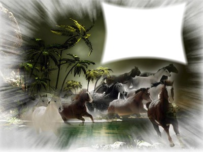 horses Fotomontáž