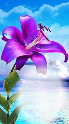 schöne Lilie für dich Fotomontaggio