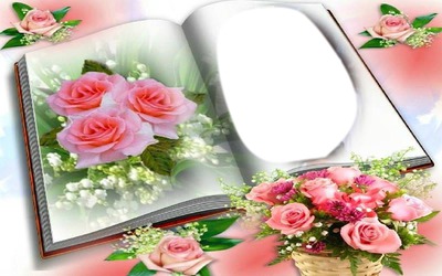 Cadre aux roses Photo frame effect