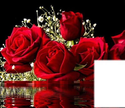 rosas rojas Fotomontaggio