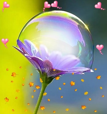 Ccentre una flor y burbuja Montage photo