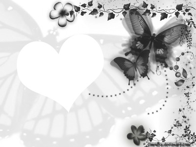 papillon noir et blanc coeur
