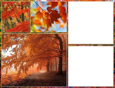 nature Photo frame effect