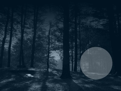 Forêt nocturne Fotomontaggio