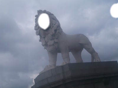 Lion Fotomontage