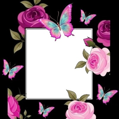 rosas y mariposas rosadas. Fotomontaggio