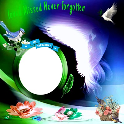 loved missed never forgotten Photomontage
