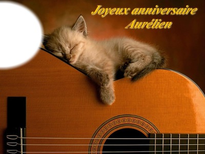 Chat Guitare Photo frame effect