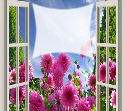 Fenster Fotomontage