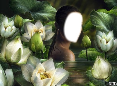 femme en fleurs Photo frame effect
