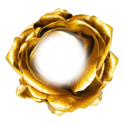 gold rose Fotomontaža