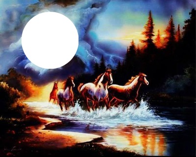 cheval nuit Photo frame effect