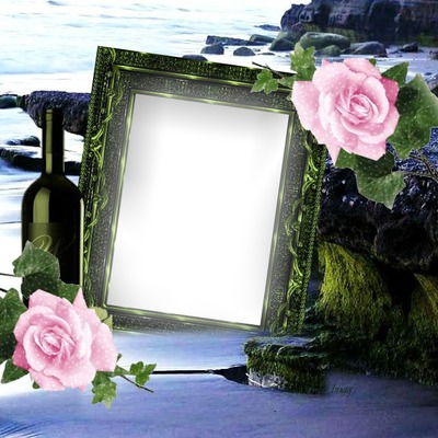 Cadre fleurs Photo frame effect