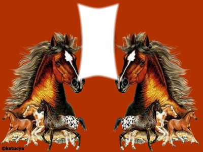 2 chevaux Valokuvamontaasi