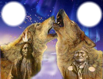 loup indien Montage photo