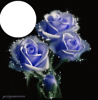 rose bleue Фотомонтажа