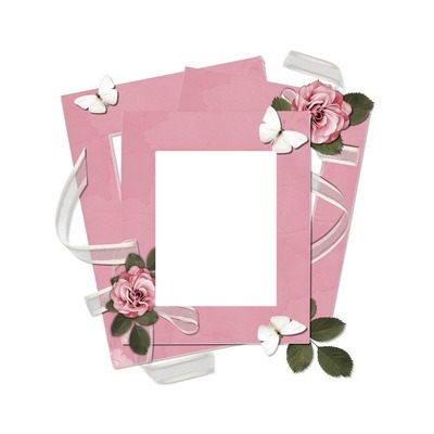 marco rosado, flores y mariposas. フォトモンタージュ