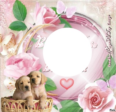 perritos dulces enamorados <3 Fotomontage