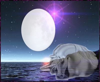 lune & cheval Photomontage