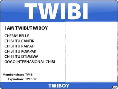 ID CARD TWIBI/TWIBOY Fotomontagem