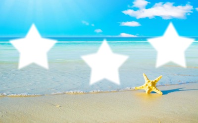 plage avec étoiles de mer