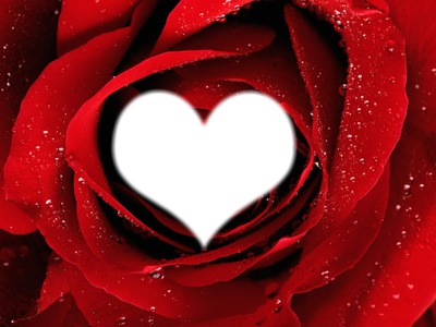 Coeur sur rose Fotomontasje