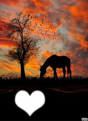 chevaux au crepuscule Фотомонтаж