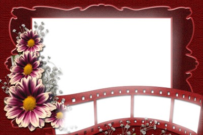 cadre ciné fleur Montaje fotografico