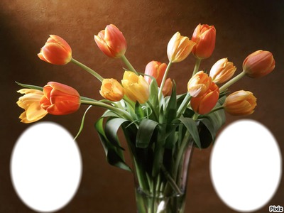 bouquet de tulipes Фотомонтажа