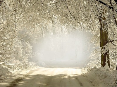 hiver Fotomontagem