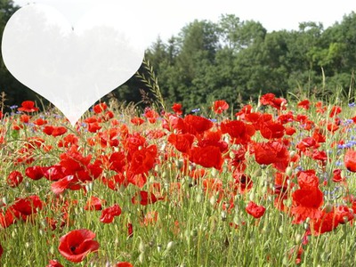 Anniversaire de mariage 8 ans Photomontage