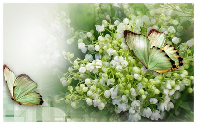 muguet et papillons Fotomontage