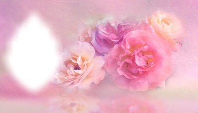 Roses Photo frame effect