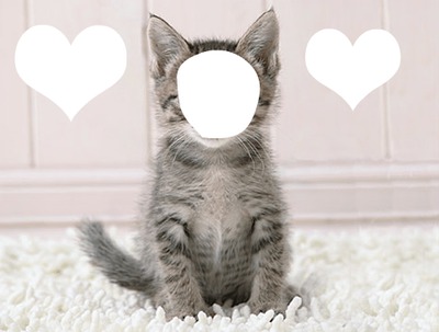 chat deguisement Fotomontasje