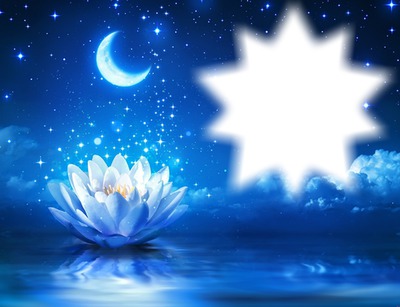 Fleur de lotus-nuit-lune-étoiles